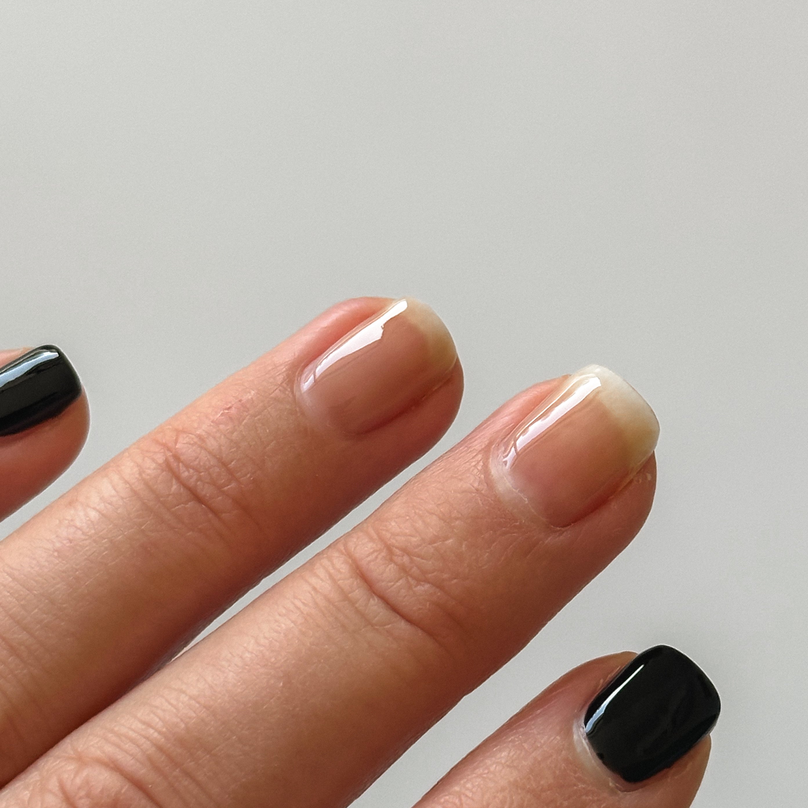 80. Bare (translucent)
